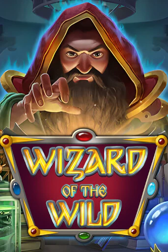 Wizard of the Wild демо игровой автомат | ВАВАДА Казино бесплатно